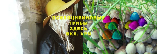 spice Ростов